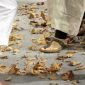 Desfile moda sostenible