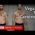 Descubre qué es vegano y sus beneficios en esta guía completa