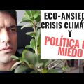 Superando la Ecoansiedad: Entendiendo y Abordando este Problema del Siglo XXI