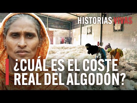 El engaño del algodón BCI: descubriendo el greenwashing en la industria textil. El engaño del algodón BCI: descubriendo el greenwashing en la industria textil.