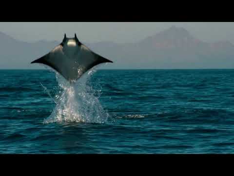 Regalos ecológicos para cuidar el planeta y sorprender a todos