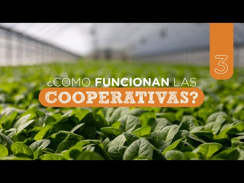 7 beneficios de unirte a una cooperativa eléctrica en este momento. 7 beneficios de unirte a una cooperativa eléctrica en este momento.