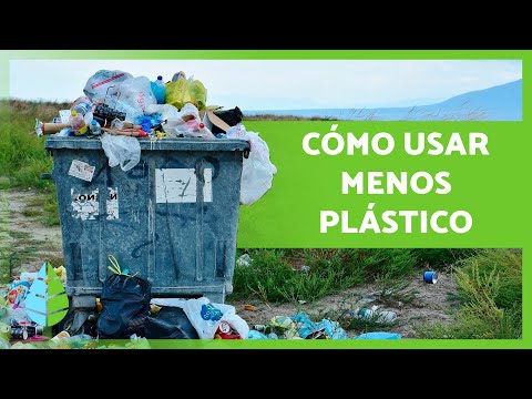 Pajitas ecológicas: alternativas reutilizables y biodegradables para un consumo sostenible Pajitas ecológicas: alternativas reutilizables y biodegradables para un consumo sostenible