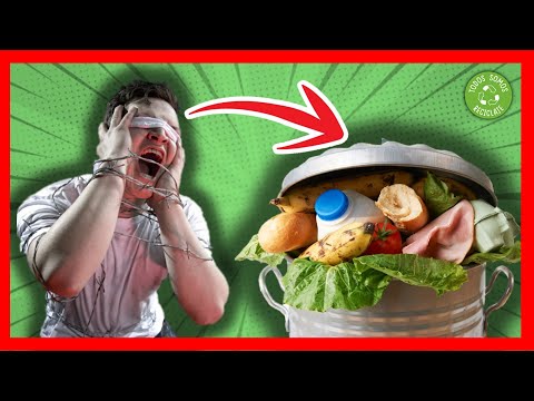 Cocina Zero Waste: Aprovechando Alimentos para Reducir Desperdicios