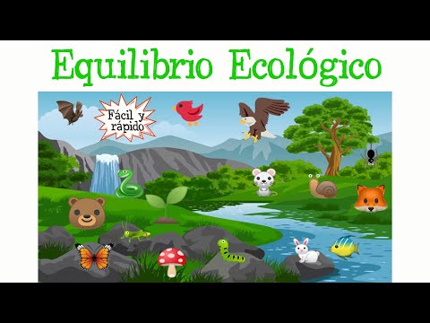 Principios fundamentales de la ecología: entendiendo el equilibrio natural del planeta. Principios fundamentales de la ecología: entendiendo el equilibrio natural del planeta.