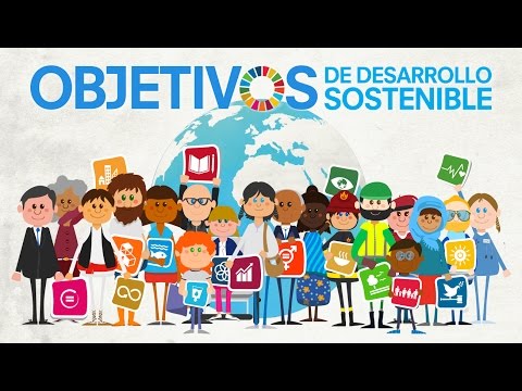 Transforma tu vida adoptando estas 6 ideas para un estilo sostenible